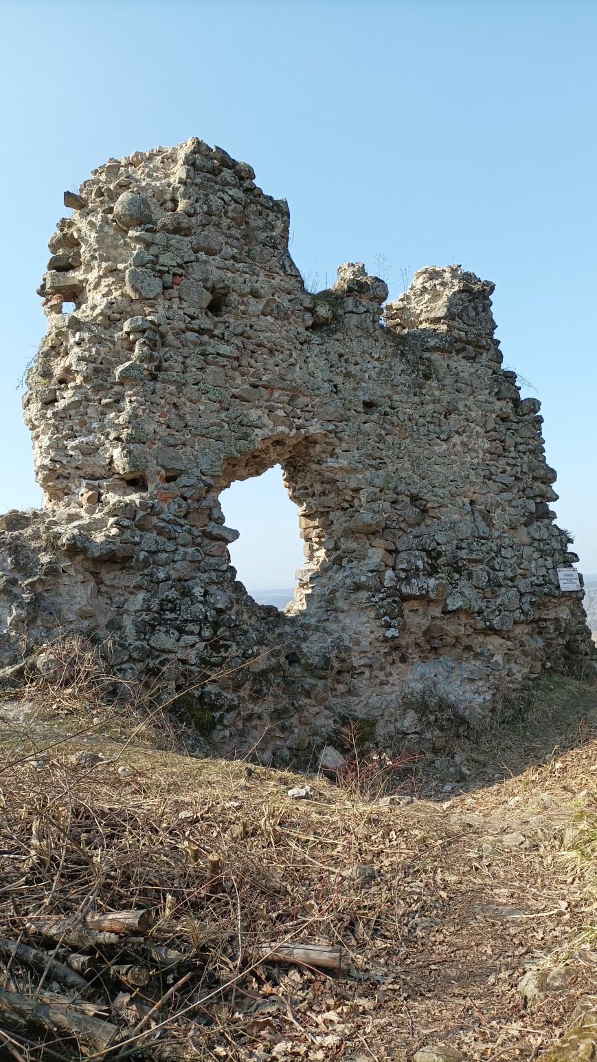 Cetatea Deznei