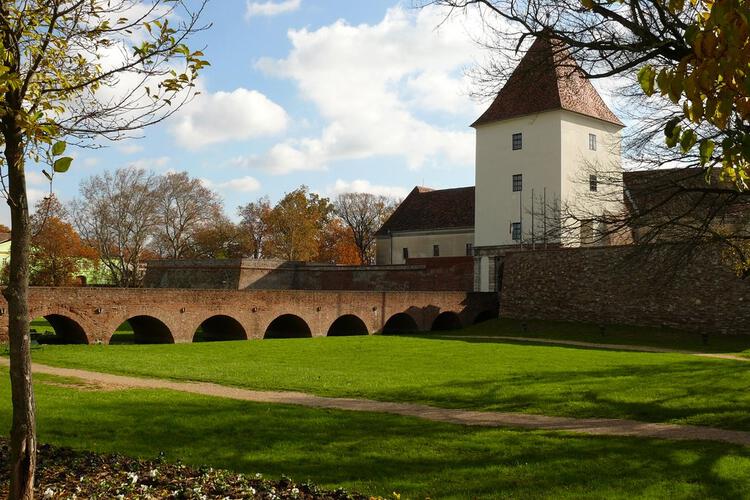 Prin curtea școlii…