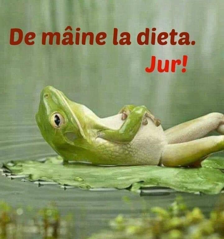 Cu burta la soare…